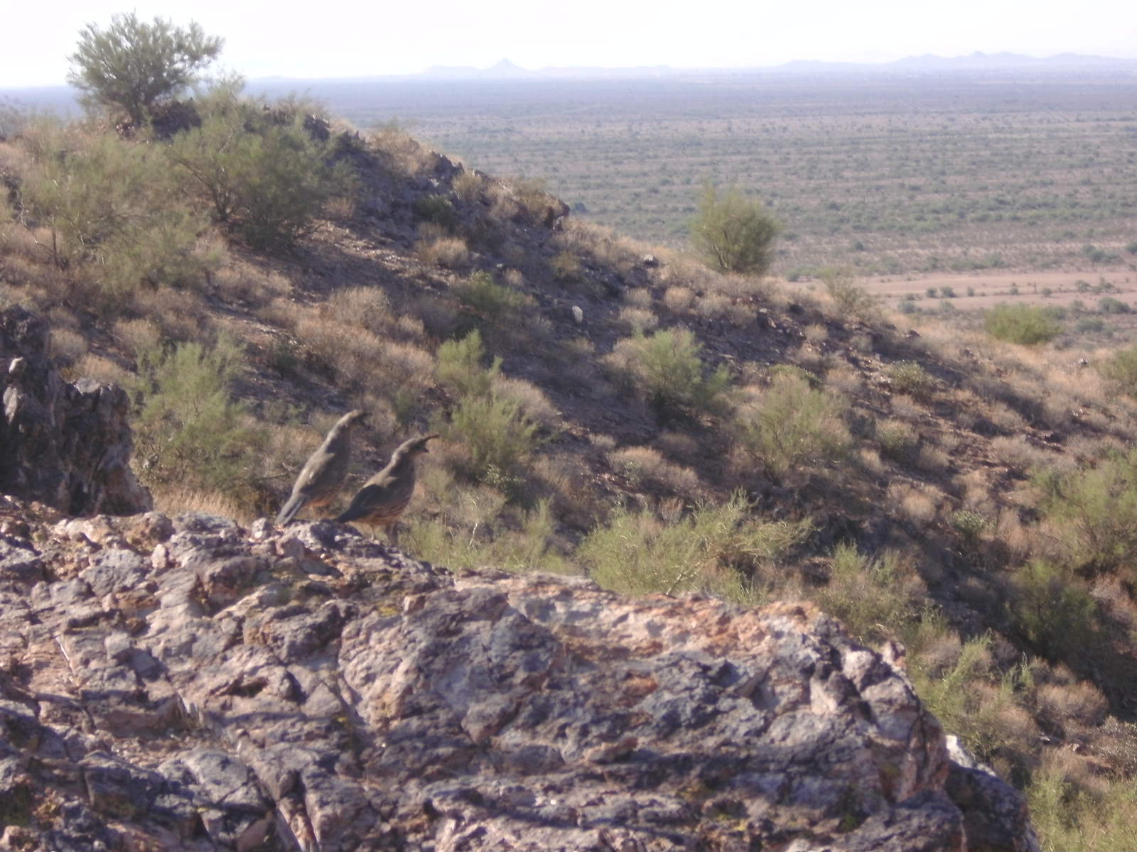 Hiking and Nature Photo